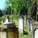 Kamienna Góra, cmentarz żydowskiDSC07251