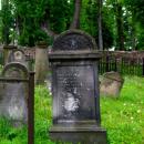 Kamienna Góra, cmentarz żydowski (Aw58) DSCF7713