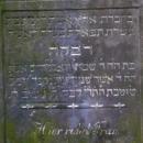 Kamienna Góra, cmentarz żydowski, fragment macewy DSCF7684