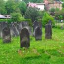 Kamienna Góra, cmentarz żydowski (Aw58)DSCF7680