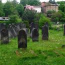 Kamienna Góra, cmentarz żydowski -Aw58- 20.05.2012 r.