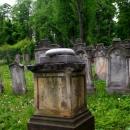 Kamienna Góra, cmentarz żydowski -Aw58- 20.05.2012 r.DSCF7741