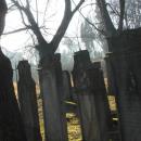 Kamienna Góra, cmentarz żydowski DSC05214