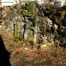 Kamienna Góra, cmentarz żydowski DSC05209