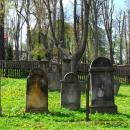 Cmentarz żydowski w Kamiennej Górze(Aw58)SDC11387