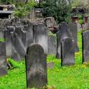 Cmentarz żydowski w Kamiennej Górze(Aw58)SDC11391