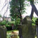 Kamienna Góra, cmentarz żydowskiPICT6600