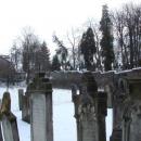 Cmentarz żydowski w Kamiennej Górze(Aw58)DSC09971