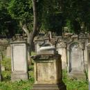 Cmentarz żydowski w Kamiennej Górze - Aw58 - 13 lipca 2010DSC02256