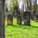 Cmentarz żydowski w Kamiennej Górze(Aw58)SDC11386