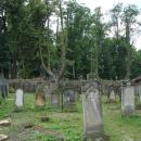 Kamienna Góra, cmentarz żydowskiDSC07576